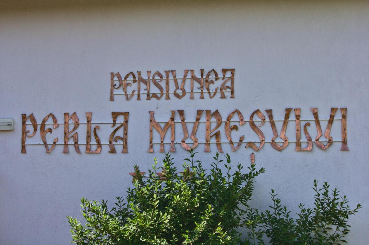Perla Muresului Alba Iulia Ngoại thất bức ảnh